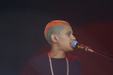 Rockaue in Bonn